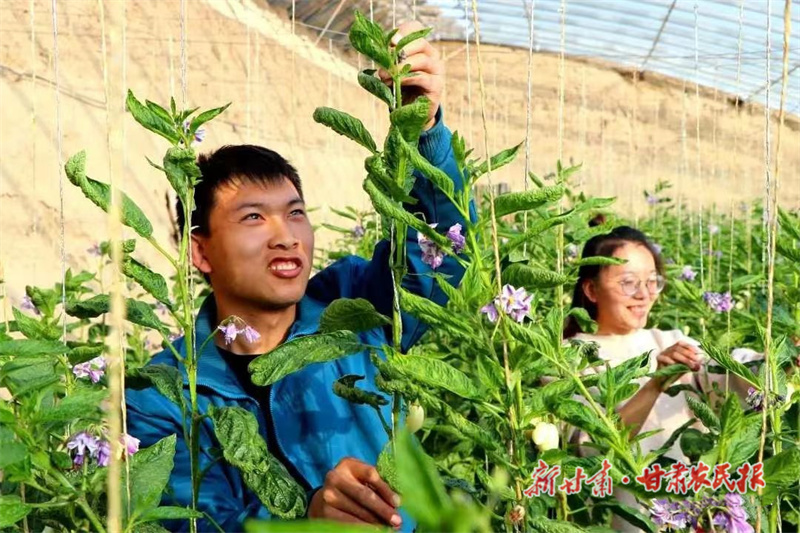 微信图片_20220518163613.jpg
