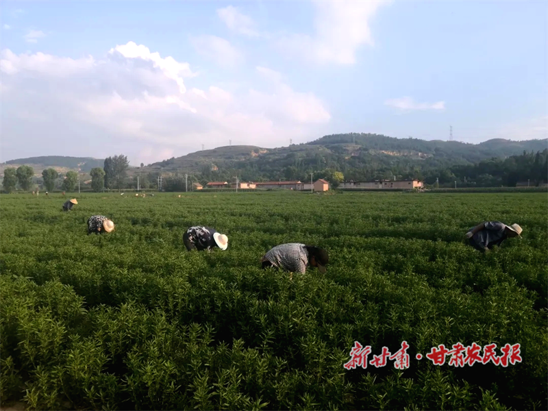 微信图片_20220810162607.png