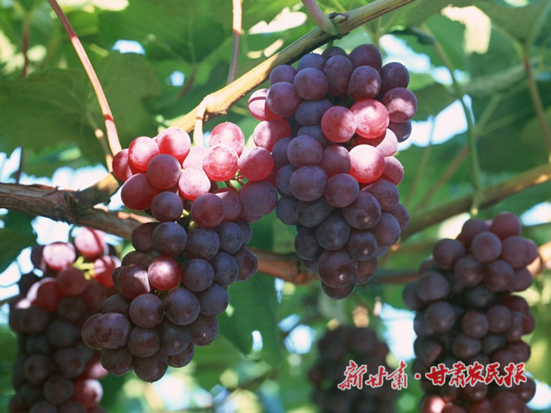 微信图片_20220819114258.jpg