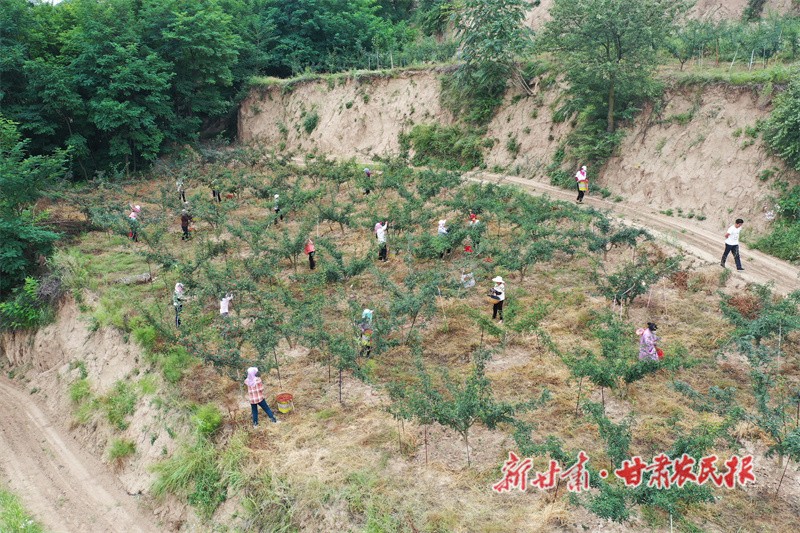 微信图片_20220901090214.jpg
