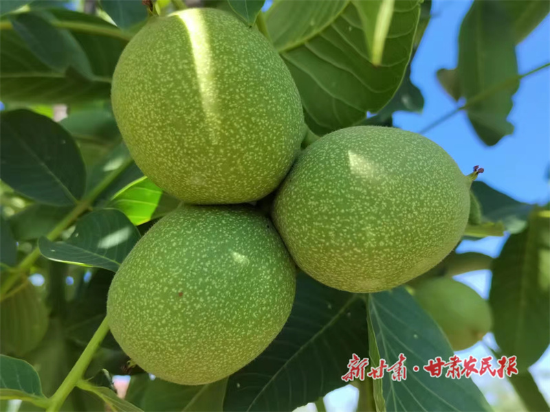 微信图片_20220905161137.jpg