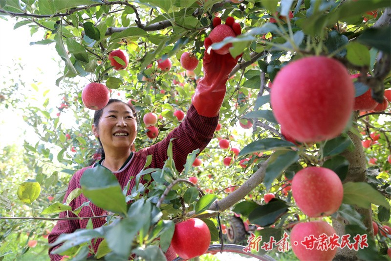 微信图片_20220905151500.jpg