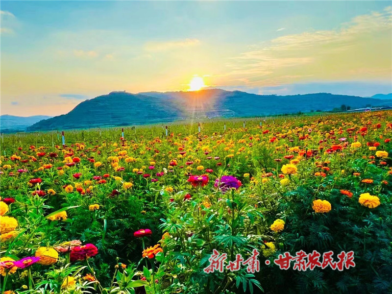 鲜花与果园交相辉映_proc.jpg