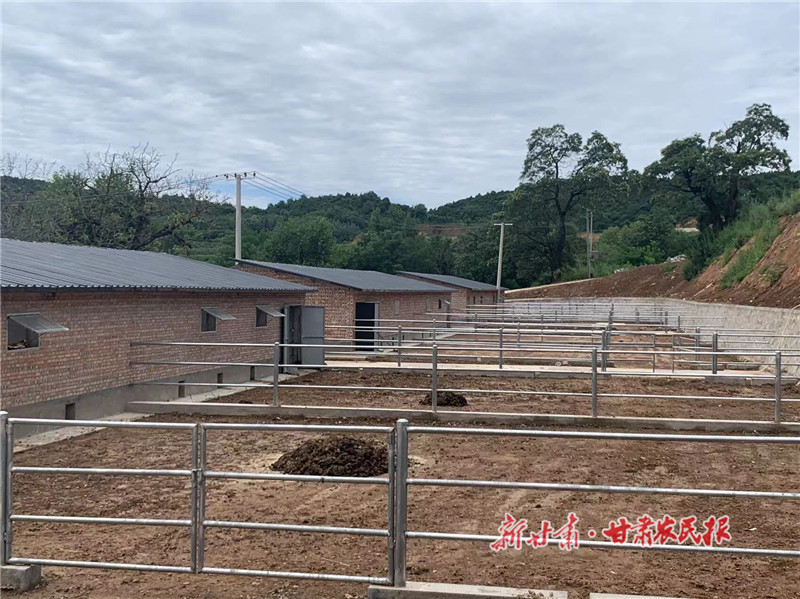 宰相村养牛小区新建的牛棚_proc.jpg
