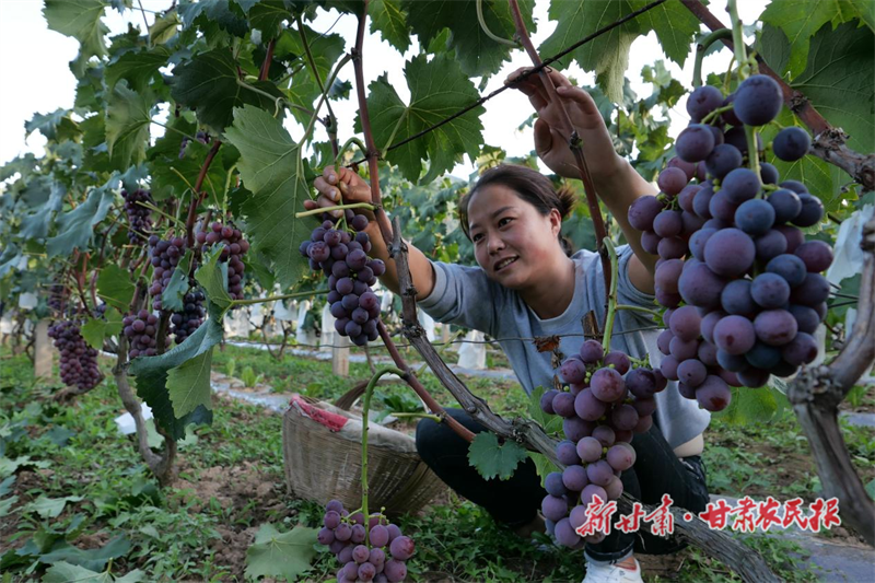 微信图片_20220919150808.png