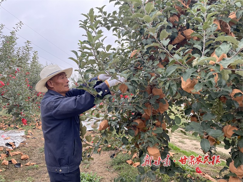 微信图片_20220921103002.jpg