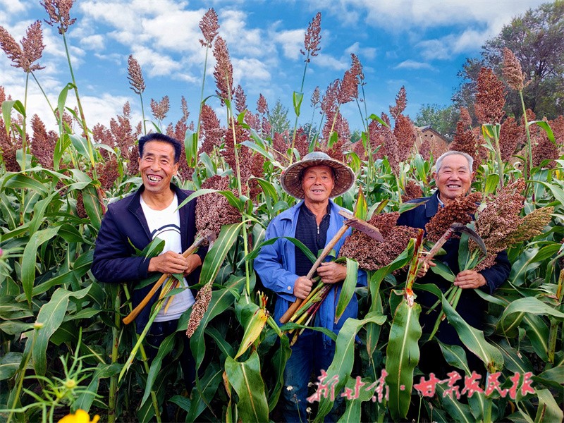 2、丰收的高粱惹得农人喜笑颜开.jpg