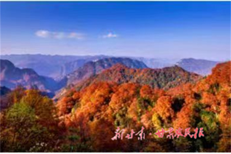 1665565415696584.jpg 微信圖片_20221012170058.jpg