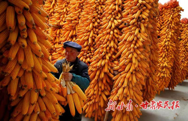 微信图片_20221020174550_副本.jpg