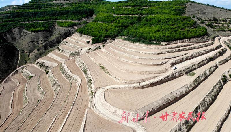 红寺镇高标准农田建设.JPG