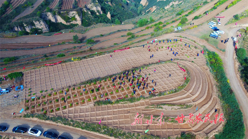 马家沟村义务植树现场.jpg