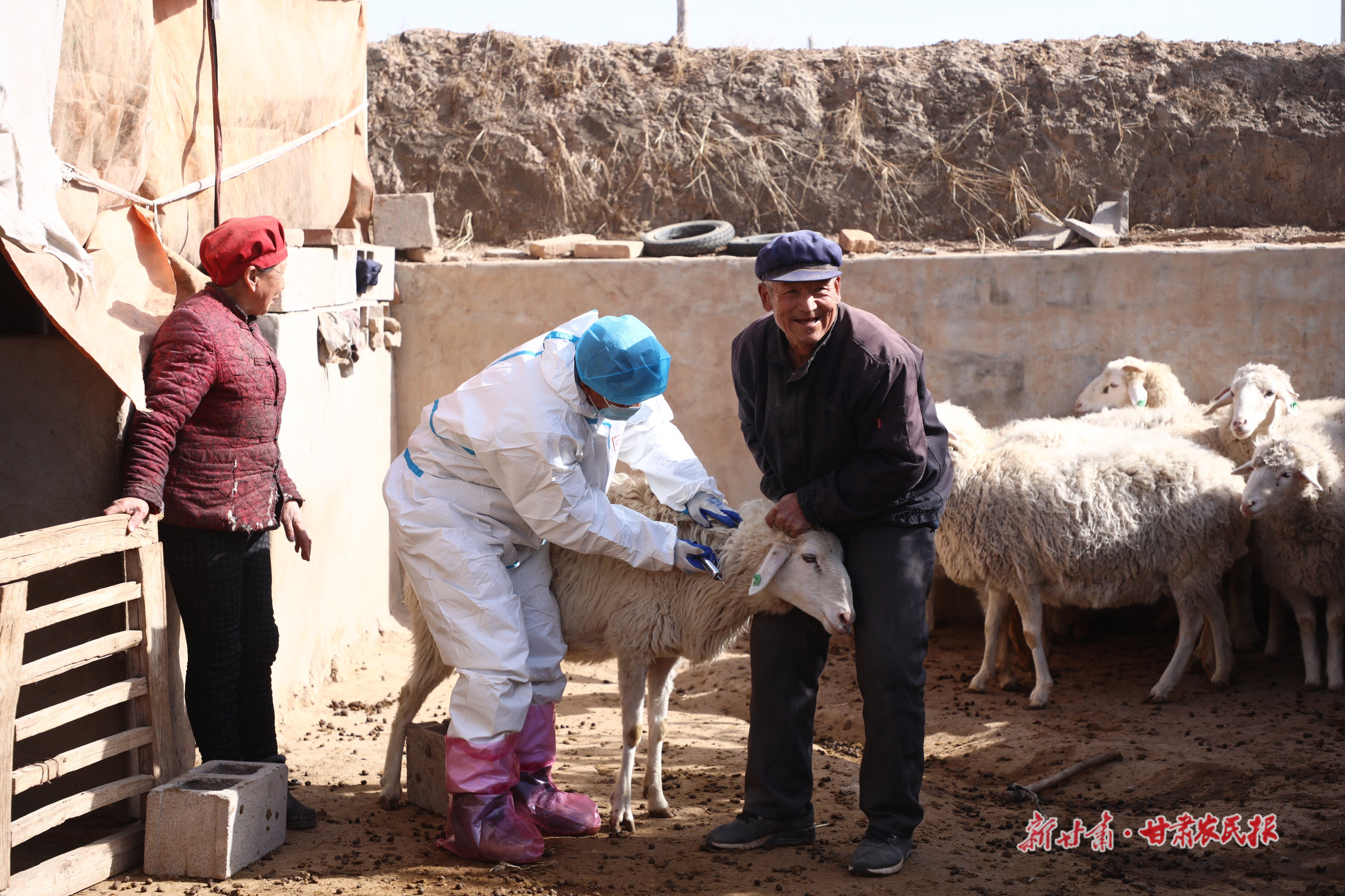 產業(yè)指導員呂春昌為趙洼村養(yǎng)殖戶進行疫病防控