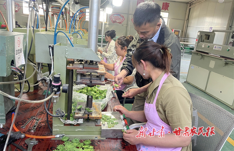 华亭市河西镇仿真花生产车间1.jpg