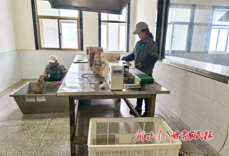 工人们封装药材.jpg