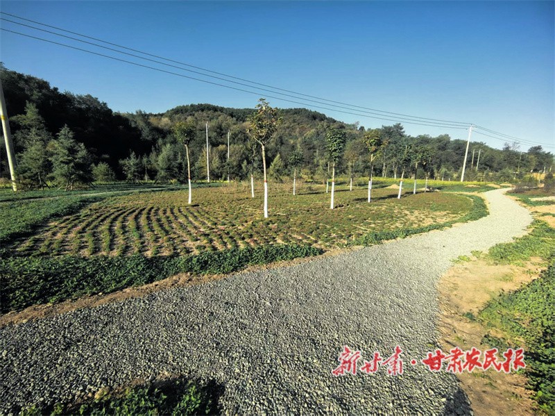 桥台生态恢复治理.jpg