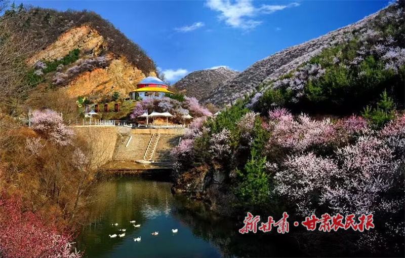 米家沟桃花.jpg
