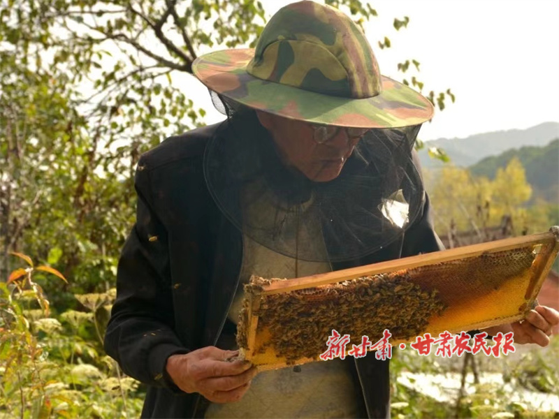 华亭市上关镇：养好小蜜蜂  致富“甜蜜蜜” (2).jpg