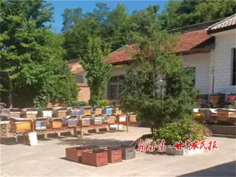 华亭市上关镇：养好小蜜蜂  致富“甜蜜蜜” (3).jpg