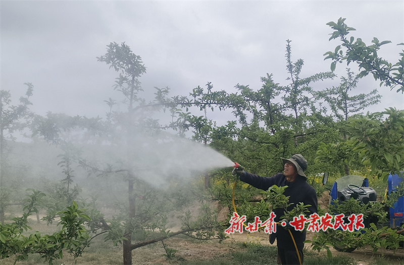 喷洒农药.jpg