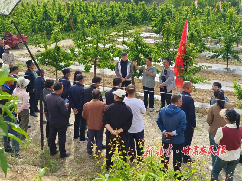 秦州区培训.jpg