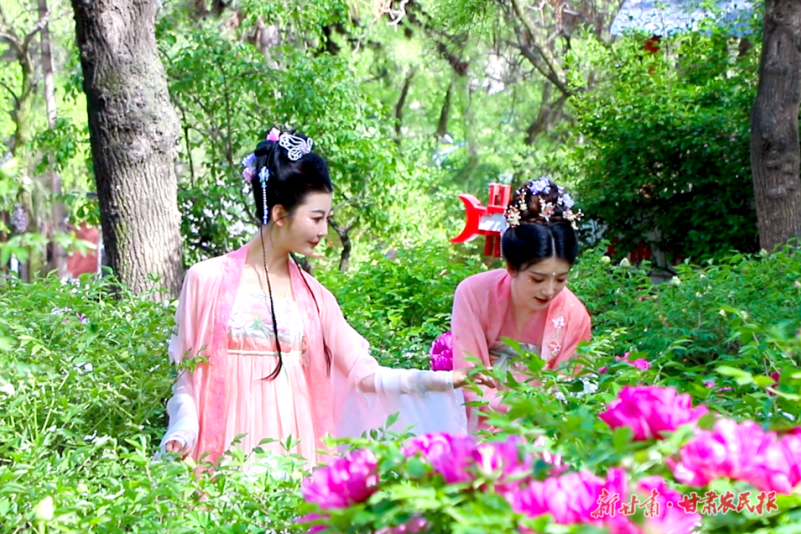 微信图片_20250526152431.png