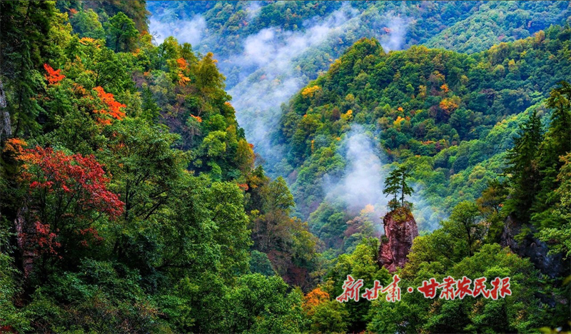 華亭蓮花臺(tái).png