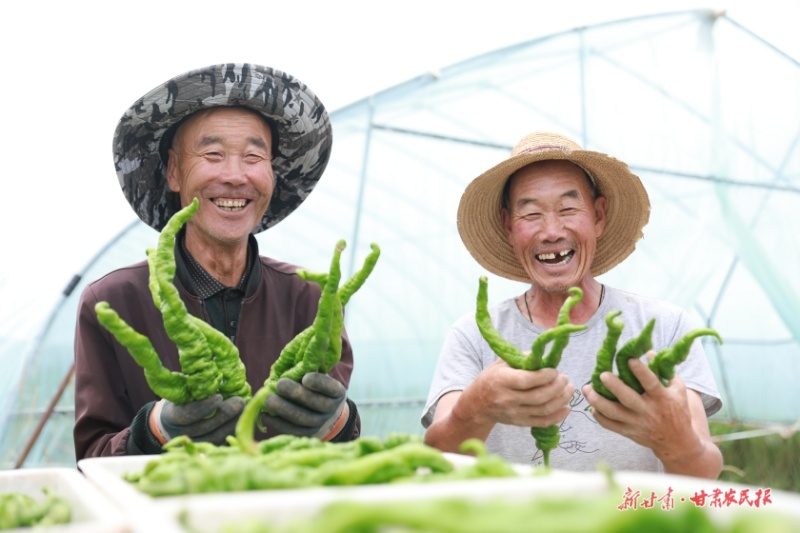 微信圖片_20250730162622.jpg