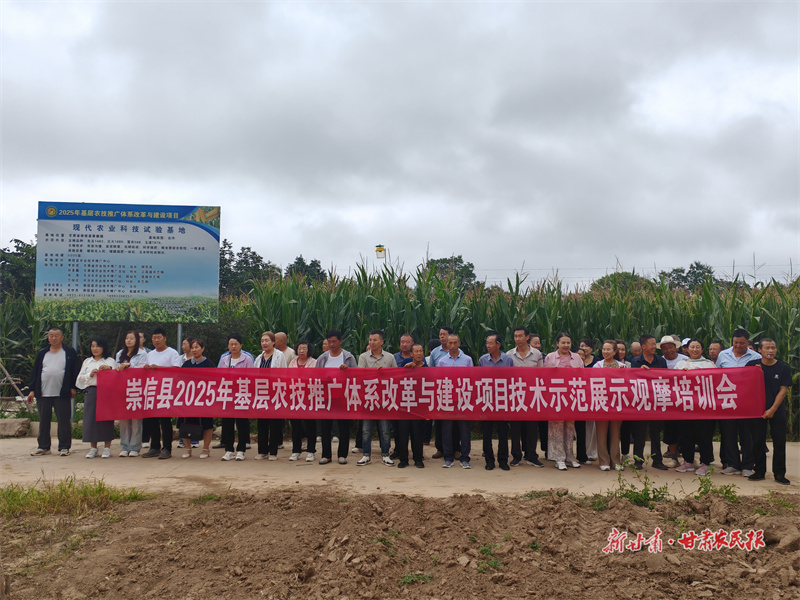 cfb13ebc4de323eab952c9fccfcf8d12