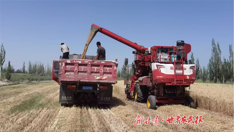 1756086584251436.jpg gz3.jpg