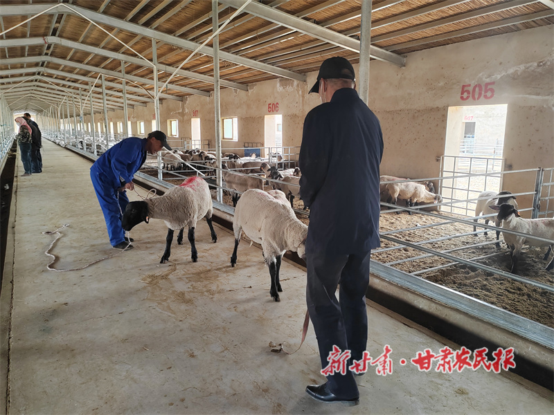 1756086608687778.jpg gz2.jpg