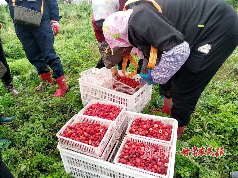 1756531268691433.jpg 100847.jpg