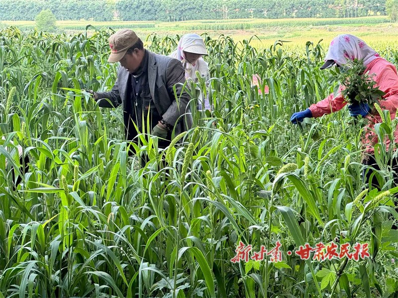 1756531782868641.jpg bca4a.jpg