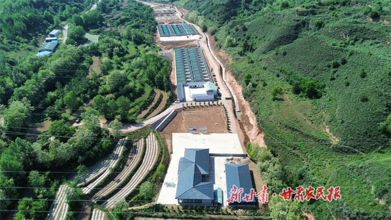 1756532034131940.jpg 西華鎮(zhèn)林麝養(yǎng)殖基地.jpg