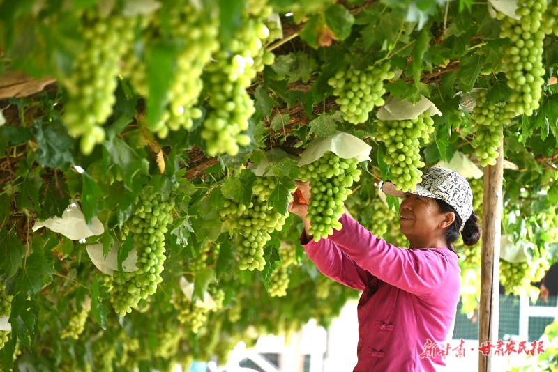 1757386595812926.jpg 微信圖片_20250908161511_84_30.jpg