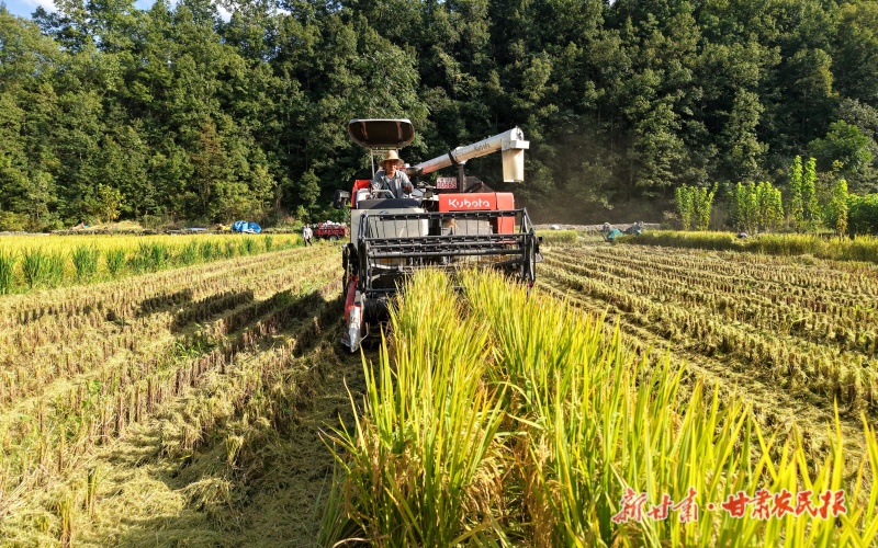 微信圖片_20250913201902