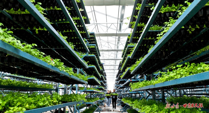 1758161721505330.jpg 微信圖片_20250917151439_55_151.jpg