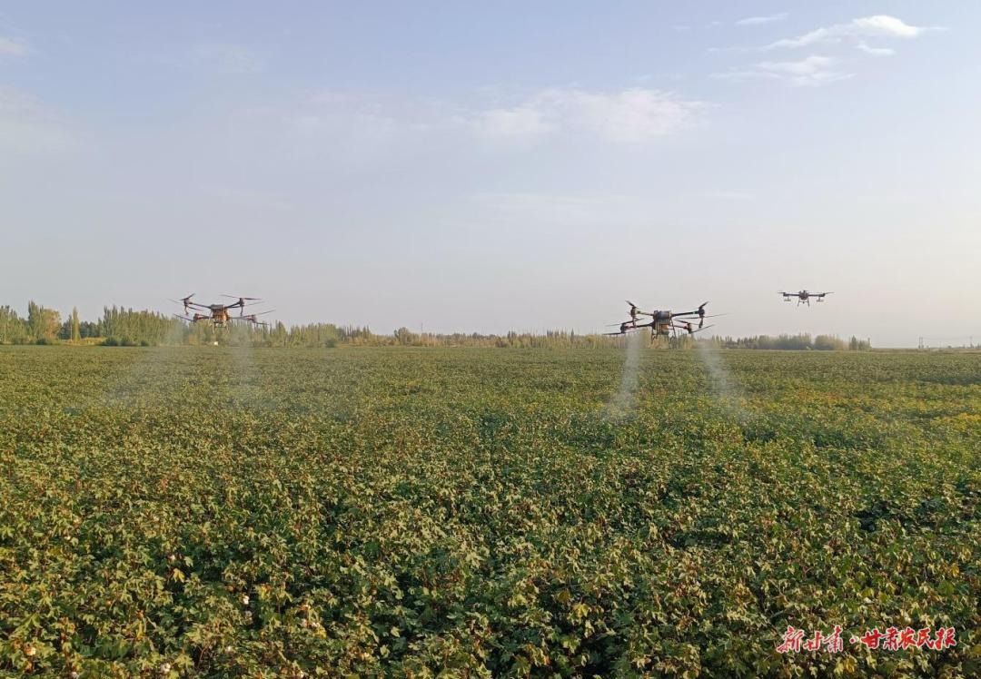 代家溝村無人機飛防 代家溝村無人機飛防
