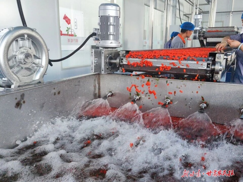 1758509098325211.jpg 微信圖片_20250919152945_42_124.jpg