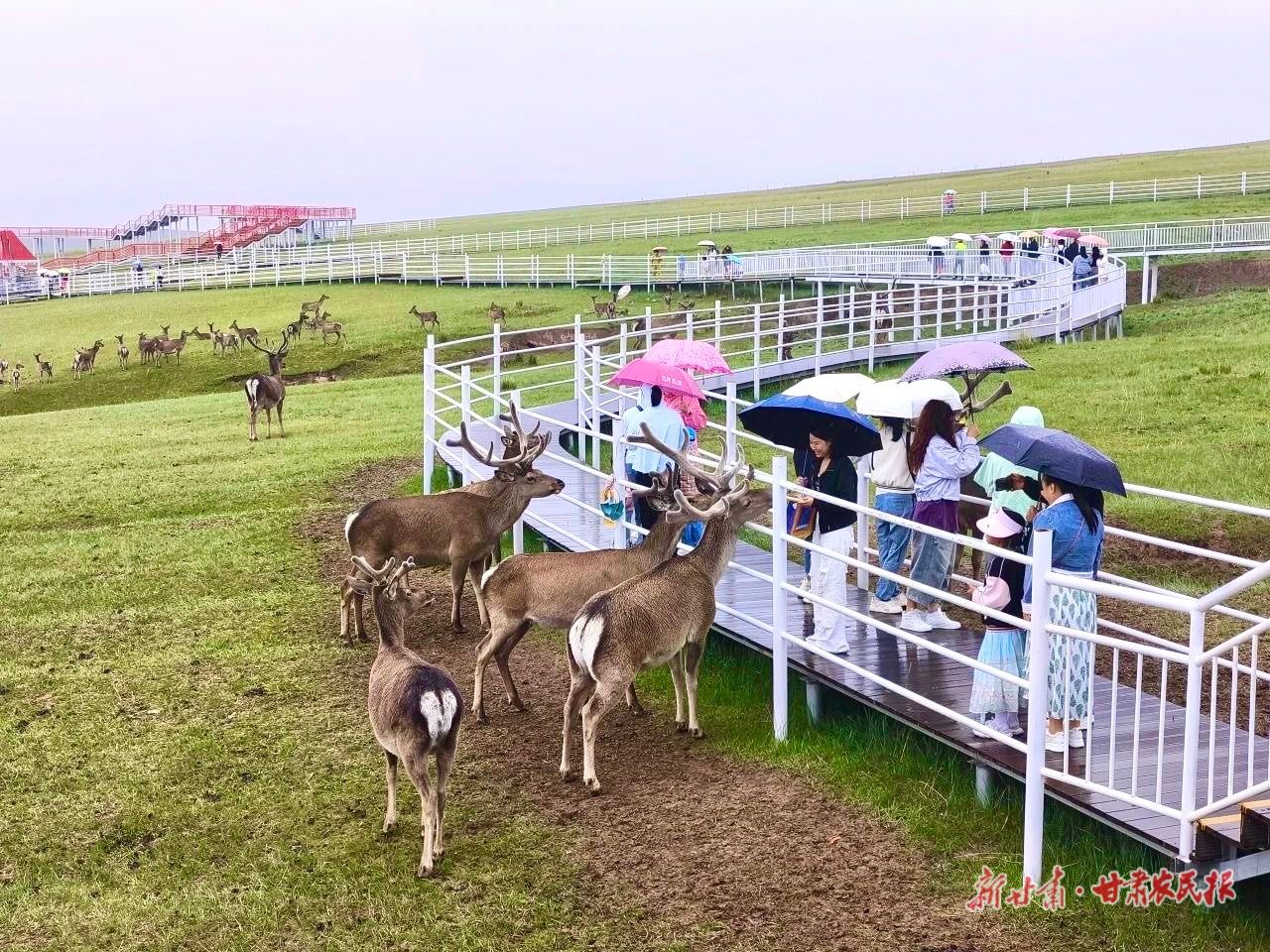 IMG_4325(20250425-163806) IMG_4325(20250425-163806)