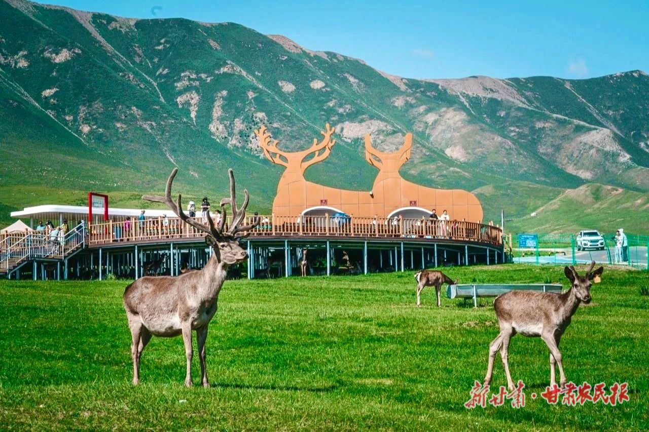 IMG_4327(20250425-171245) IMG_4327(20250425-171245)