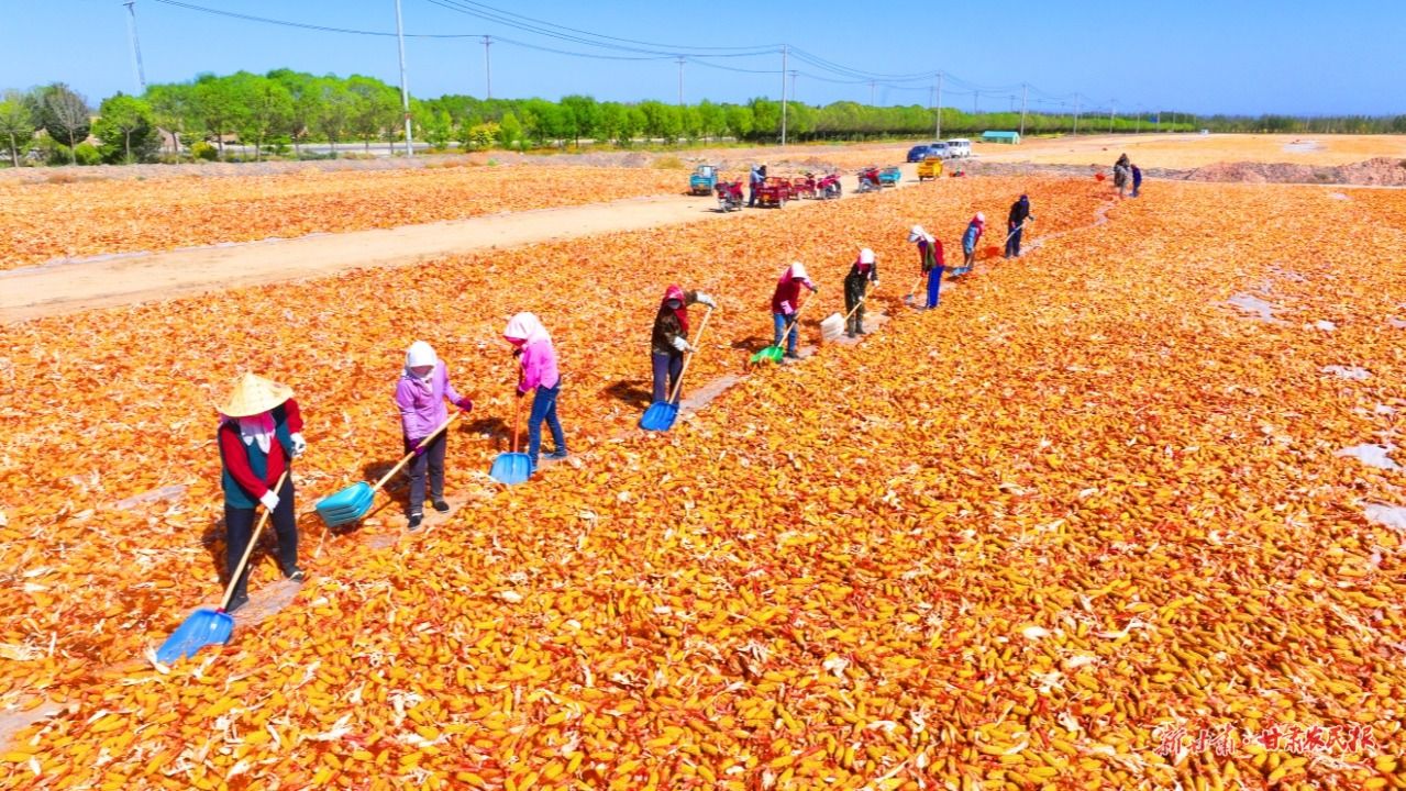 上1大圖 上1大圖