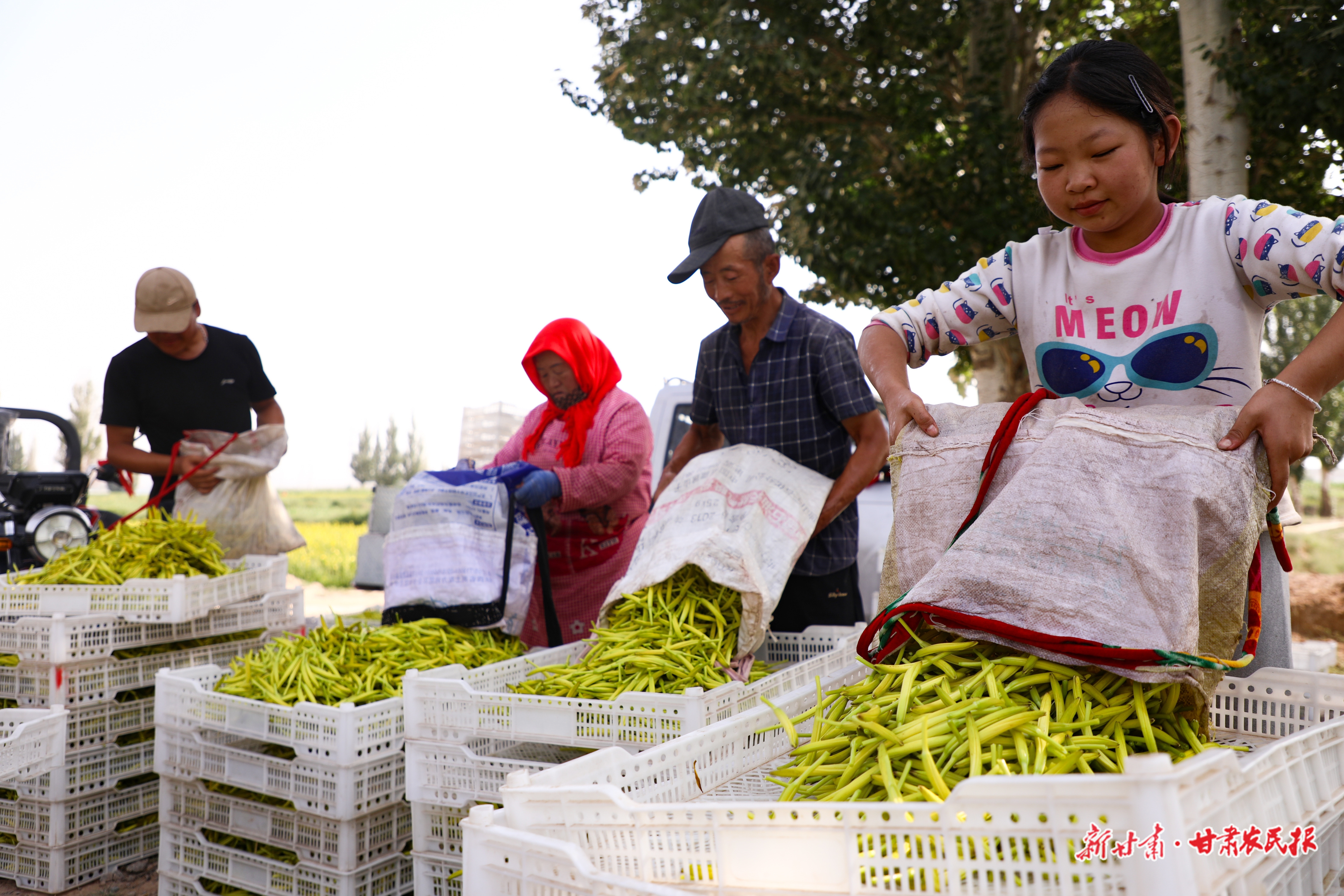 微信圖片_20250922230209_89_8