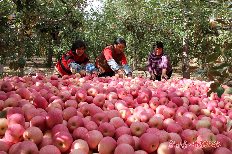 微信圖片_20250922212311_309_208