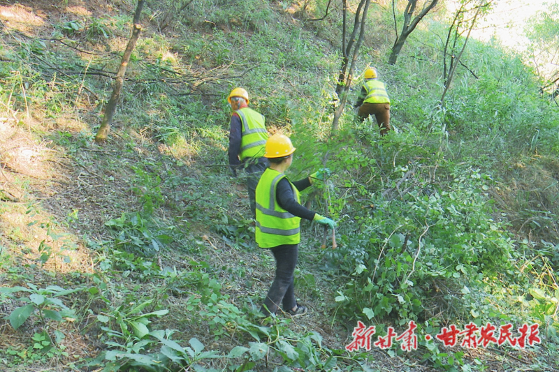 1758858709472730.png Se69bcc5ec958482c8b474c5754c1d8b2-800.png