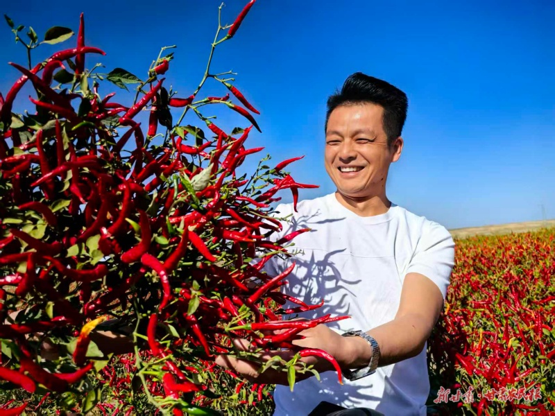 1760148464441192.jpg 微信圖片_20251010105938_115_28.jpg