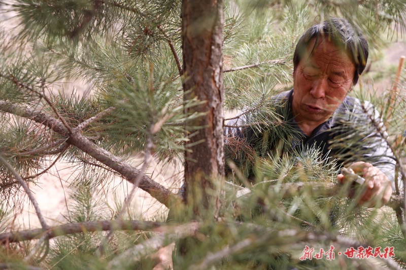 1760926952346702.jpg 微信圖片_20251017155413_88_102.jpg