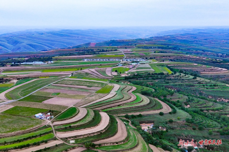 1760927034782861.jpg 微信圖片_20251017155519_92_102.jpg