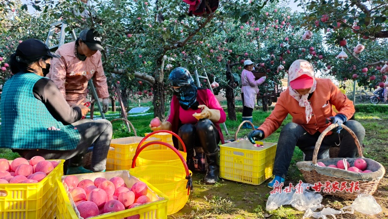 1761184712842272.jpg 微信圖片_20251022161643_85_124.jpg