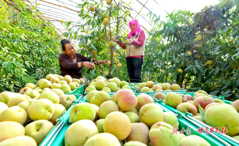 1762137557293649.jpg 微信圖片_20251031155942_157_8.jpg