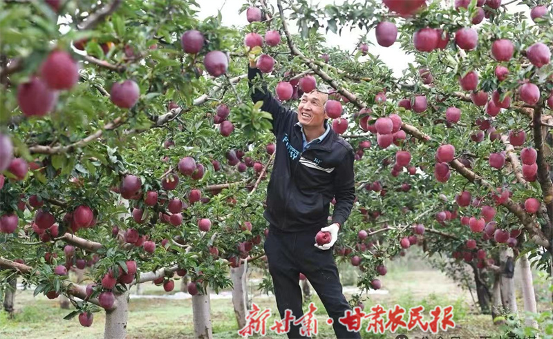 1762163730478864.jpg 1761646882046003171.jpg